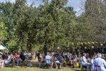 Muziek bij zomerbar Aerts Paradijs