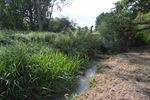 Natuurherstel langs Paalse Plas