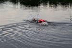 Minister promoot openwaterzwemmen aan Paalse Plas