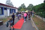 Rode loper voor kinderen Ondersteboven