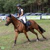 Lies Swennen in actie met Wicked