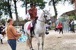 Opendeur Dagen van het Paard