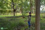 Kunst tussen het groen op de Pastoorswal