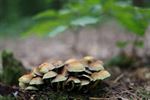 Heerlijk herfstweer