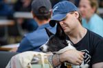 500 honden kwispelen op SHIN-dag