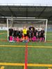 Hockey blijft groeien in Beringen