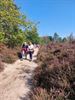 Wandelzondag Okra Beringen-Noord