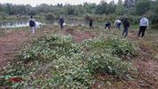 Agnetencollege helpt natuur een handje