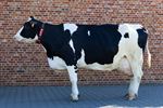 Sterke genen leveren 100.000 liter melk op