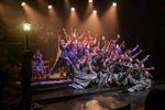 Superlatieven voor musical Mijn Leven