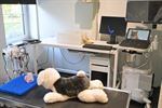 Opendeur dierenartspraktijk De Kleine Vos