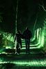 Lichtfestival Luminatura komt naar Beringen