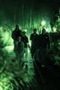 Lichtfestival Luminatura komt naar Beringen