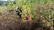 Leerlingen Pieter Brueghelschool beheren heide