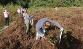 Leerlingen Pieter Brueghelschool beheren heide