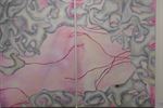 35 jaar kunstcollectie Curtista