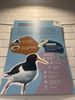 Expo over boerenlandvogels