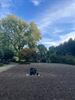 Bijna 1000 graven geruimd in Paal