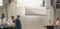 Brouns wil meer groen op Vlaamse speelplaatsen