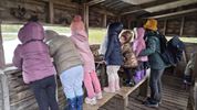 Kleuters VOX op paddenstoelentocht in het Hageven