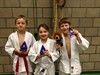Jonge judoka's deden het goed