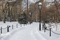 New York in de sneeuw