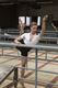 Balletstudio Josée Nicola schittert in filmpje