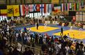 Flanders Judocup eert Ilse Heylen