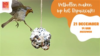 Vetbollen maken