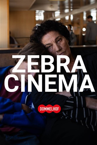 Zebracinema: Crossing Istanbul