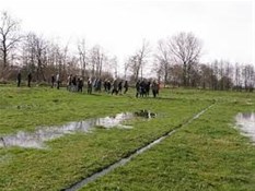 Witterweken 2025 : Begeleide wandeling