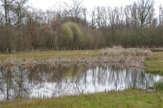 Mens en landschap: historisch samenspel