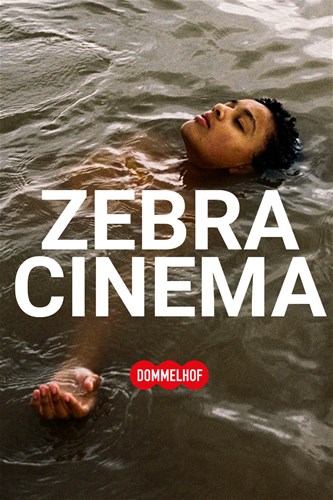 Zebracinema: Bird