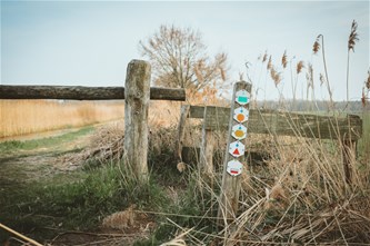 Lente-IN-wandeling De Groote Heide