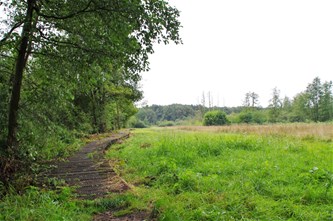 Het landschap van Koersel...