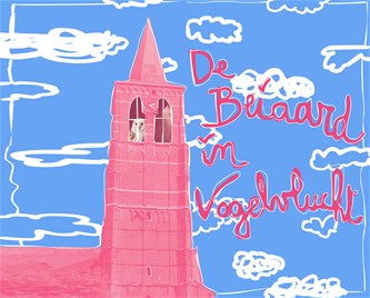 De beiaard in vogelvlucht