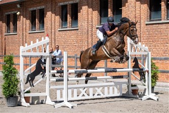 Jumping manege dagen van het paard