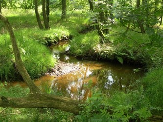 Verstillen in het groen