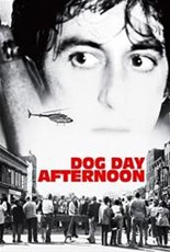 Zebracinema: Dog Day Afternoon