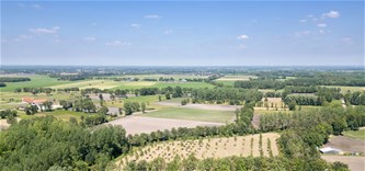Van Loofbos bij moeraskant tot ...