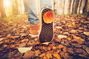 Ochtendwandeling met eenvoudig ontbijtje