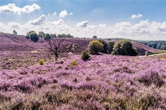 9°woensdagtocht