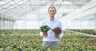 Plantjesweekend tvv Kom op tegen Kanker