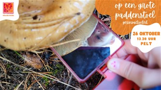 Op een grote paddenstoel