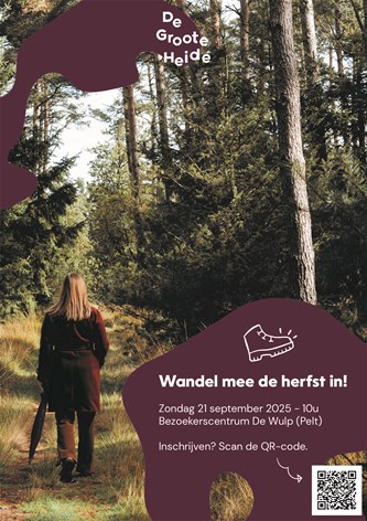 Herfst-IN-wandeling De Groote Heide