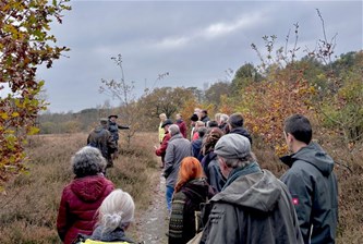 Begeleide herfstwandeling in 't Plat