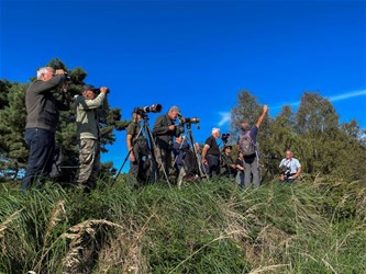 Vogeltrekwandeling in het Hageven