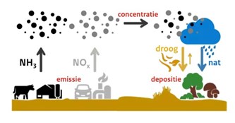 Lezing: impact van stikstof op de natuur