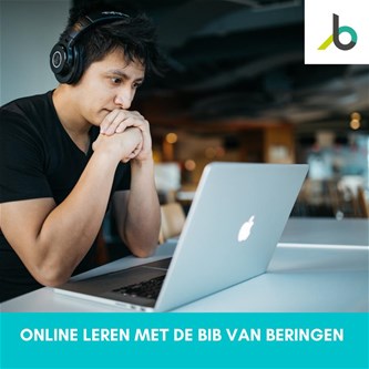 Digisessie 'online leren met de bib'