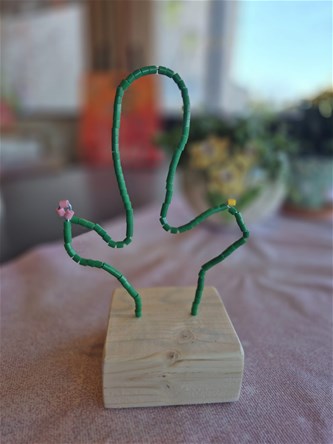 Krokusworkshop: Cactus zonder stekels